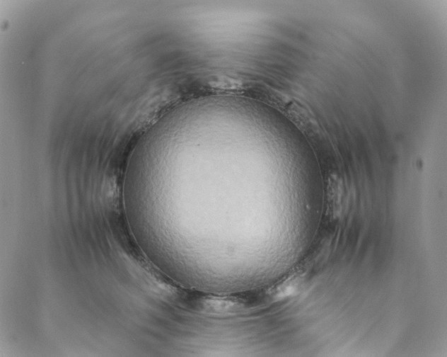 X0000089430614200706291316