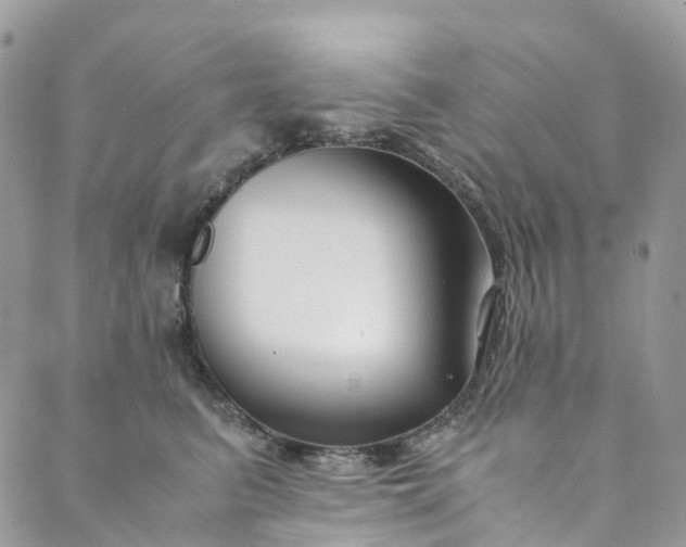 X0000089430615200706291316