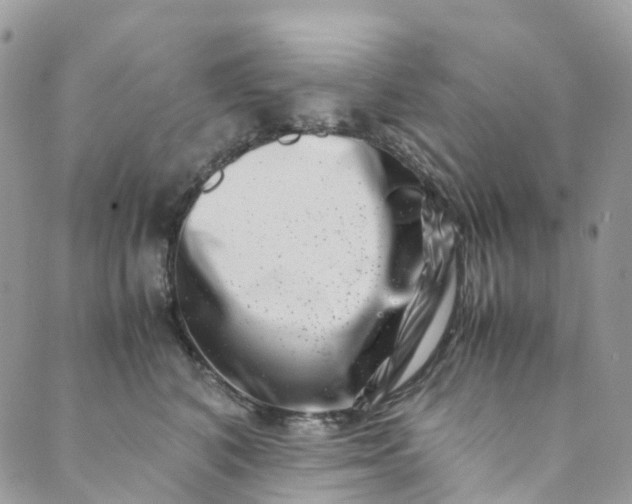 X0000089430616200706291316