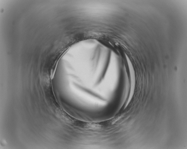 X0000089430617200706291316