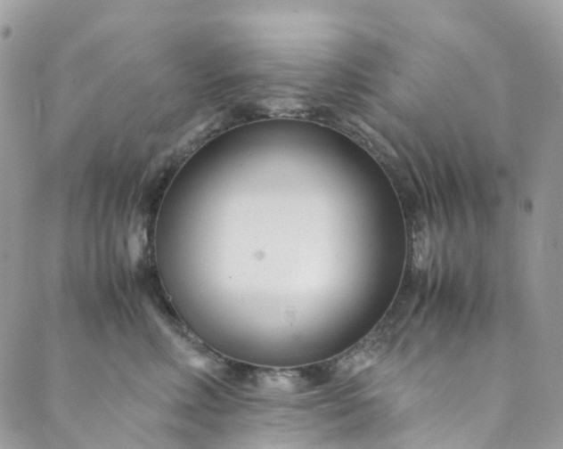 X0000089430618200706291316