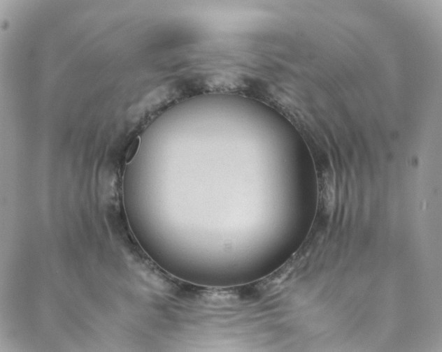 X0000089430619200706291316