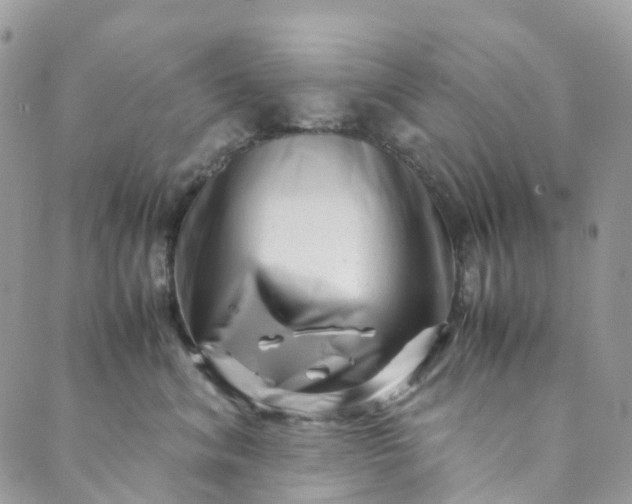 X0000089430620200706291316