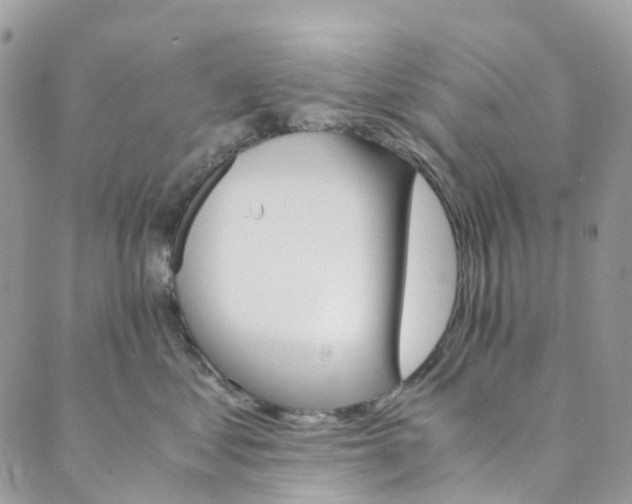 X0000089430621200706291316