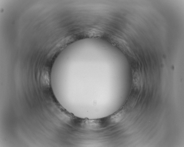 X0000089430622200706291316