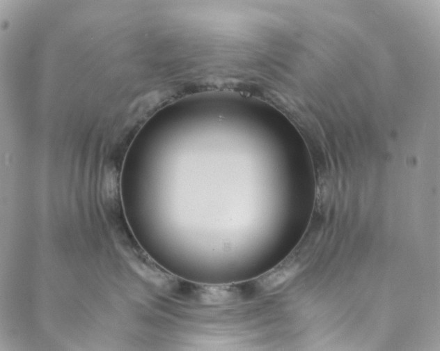 X0000089430623200706291316