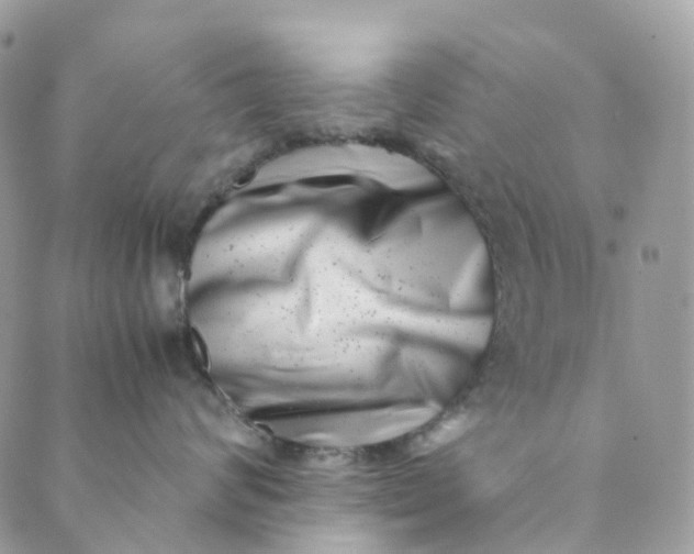 X0000089430624200706291316