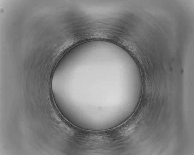 X0000089430625200706291315