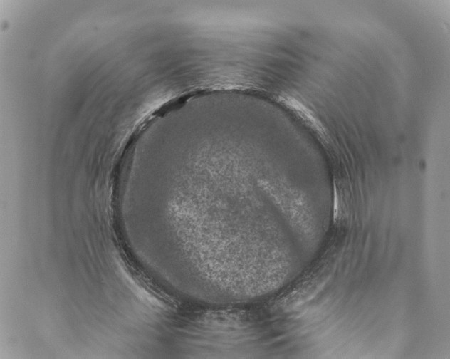 X0000089430627200706291315