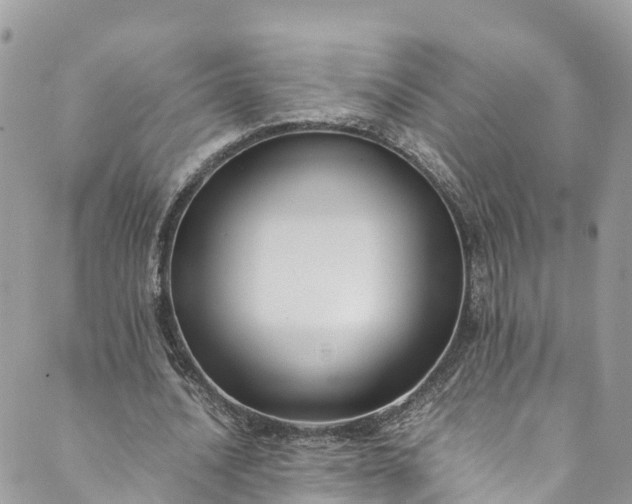 X0000089430628200706291315