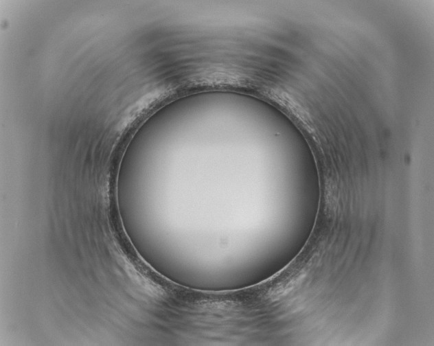 X0000089430629200706291315