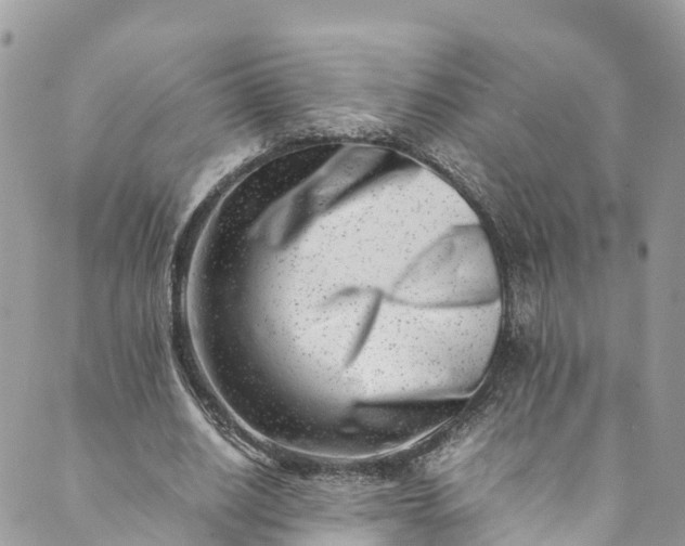 X0000089430630200706291315