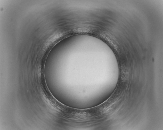 X0000089430631200706291315