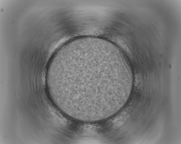 X0000089430632200706291315