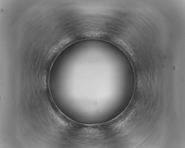 X0000089430633200706291315