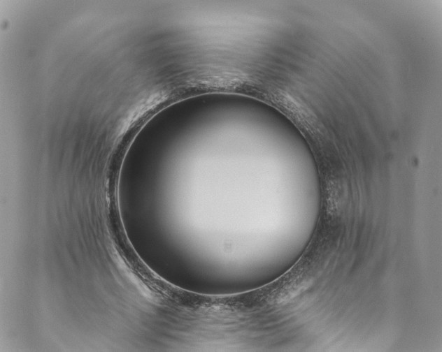 X0000089430634200706291315