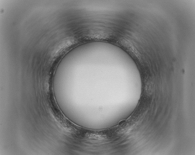 X0000089430635200706291315