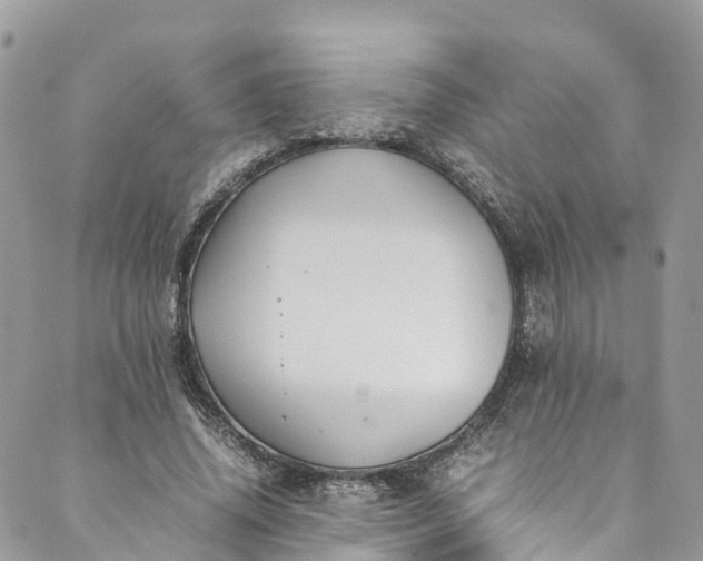 X0000089430636200706291315