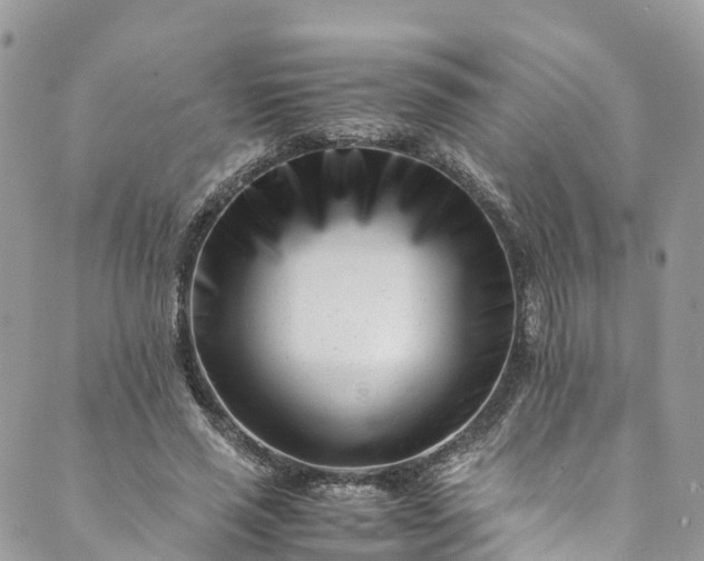 X0000089430637200706291315