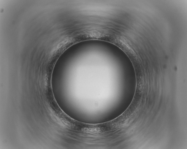 X0000089430639200706291315