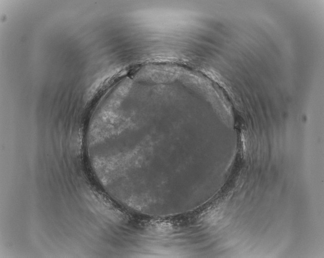 X0000089430640200706291315