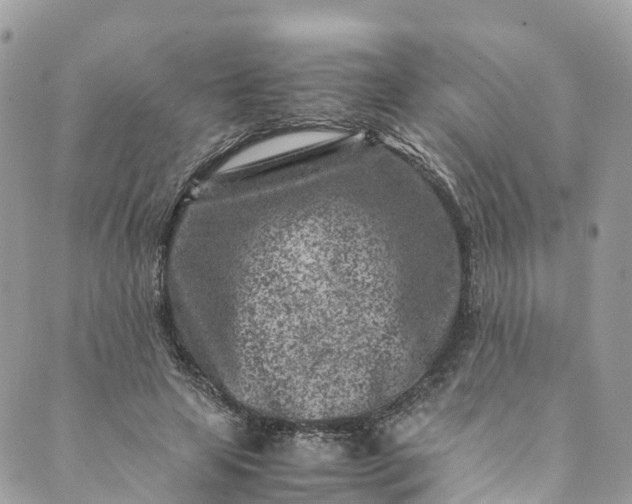 X0000089430641200706291315