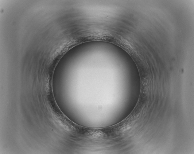 X0000089430642200706291315