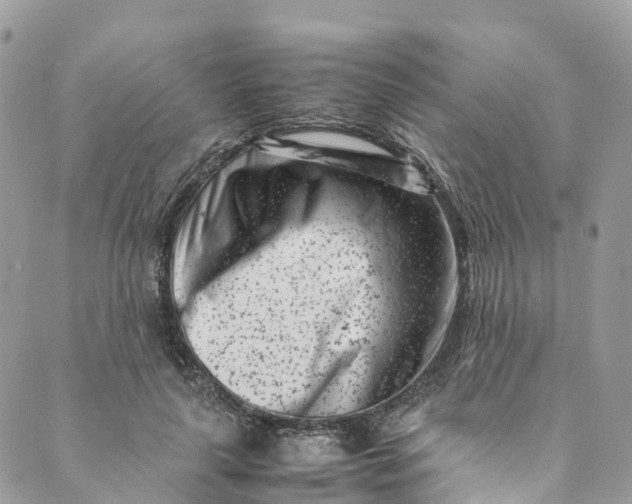 X0000089430643200706291315