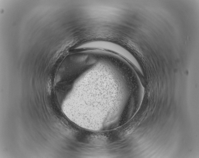 X0000089430644200706291315