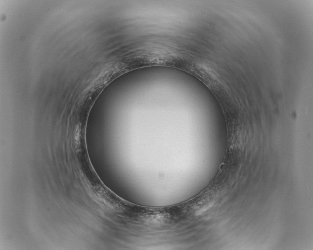 X0000089430646200706291315