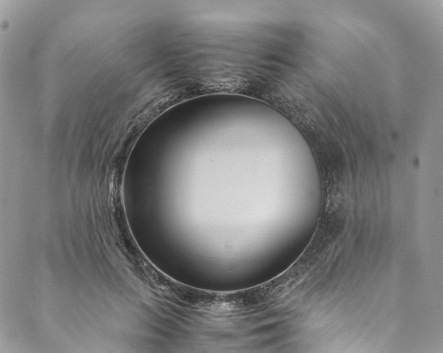 X0000089430647200706291315