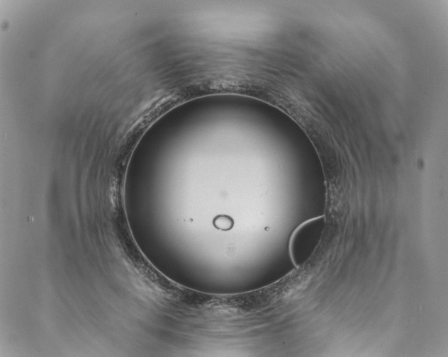 X0000089430648200706291315