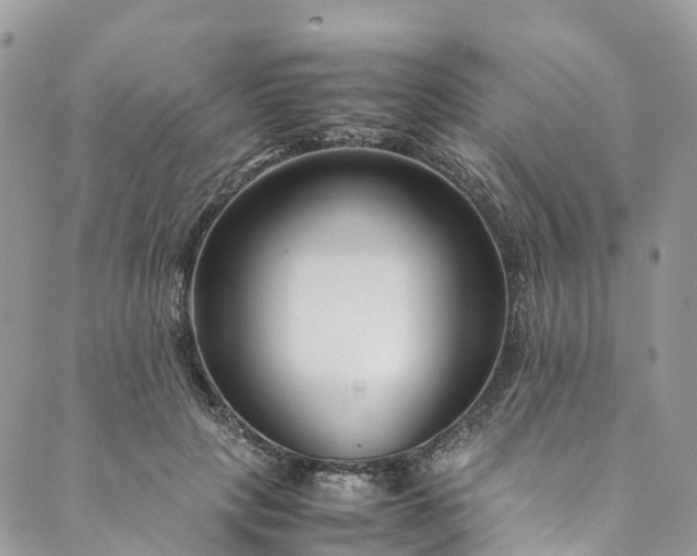 X0000089430649200706291315