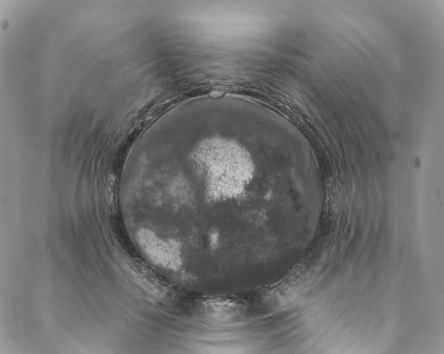 X0000089430650200706291315