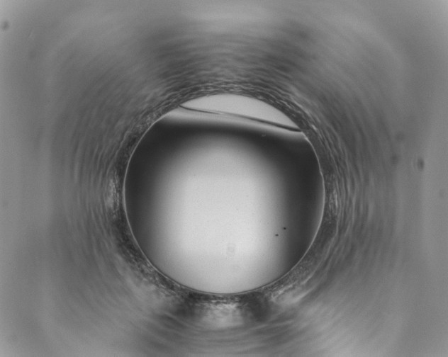 X0000089430651200706291315