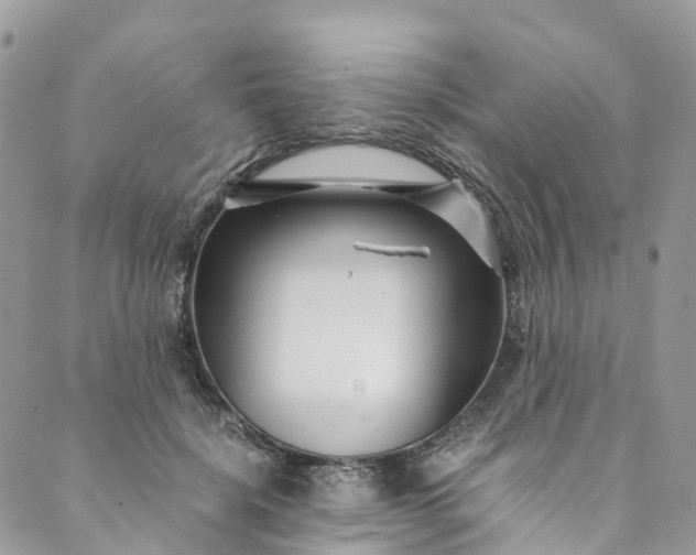 X0000089430652200706291315