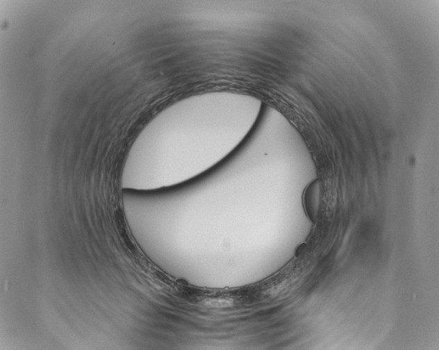 X0000089430653200706291315