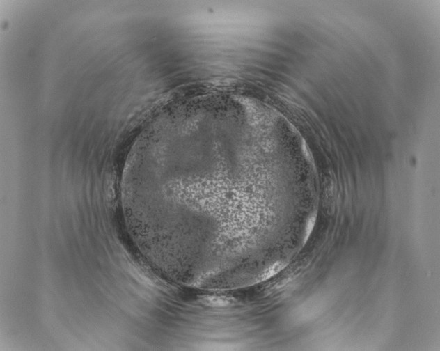 X0000089430654200706291315