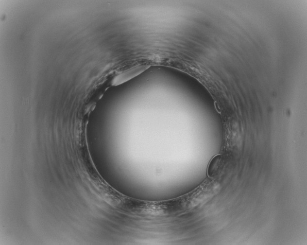 X0000089430656200706291315