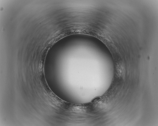 X0000089430657200706291315