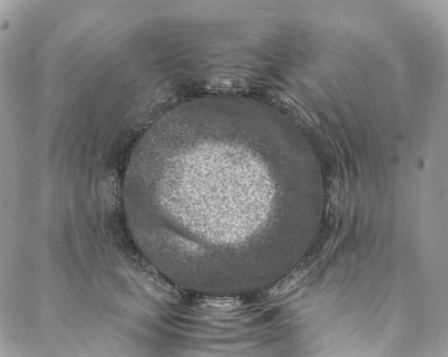 X0000089430659200706291315