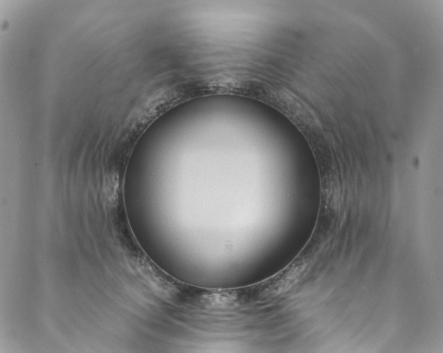 X0000089430660200706291315