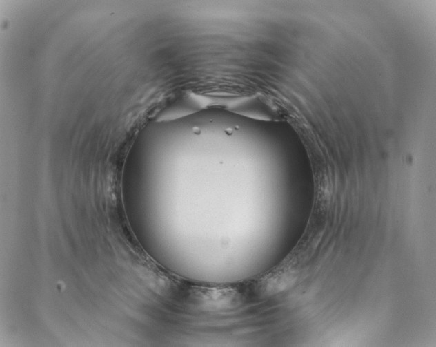 X0000089430663200706291315