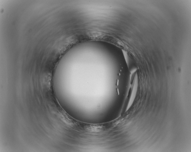 X0000089430664200706291315