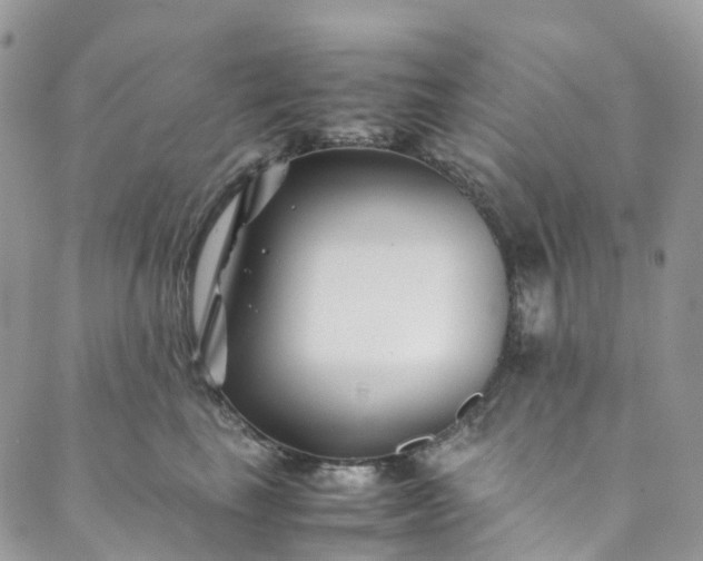 X0000089430665200706291315