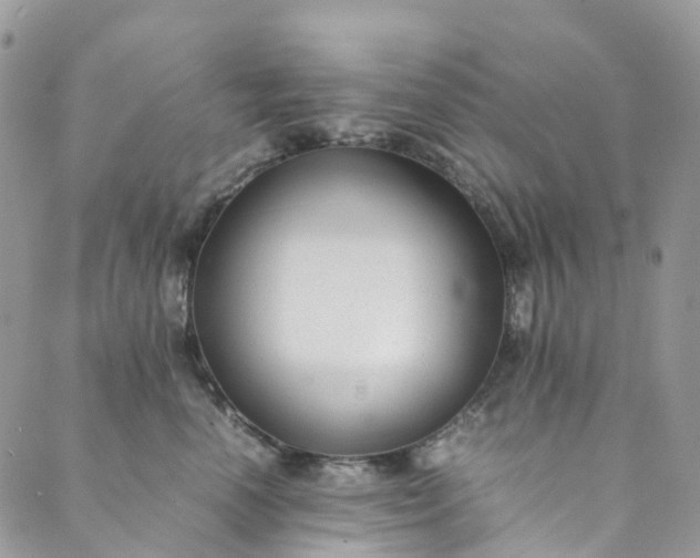 X0000089430666200706291315