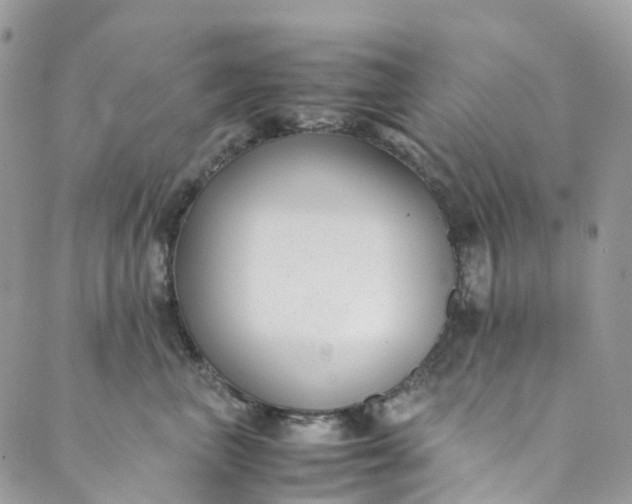 X0000089430667200706291315