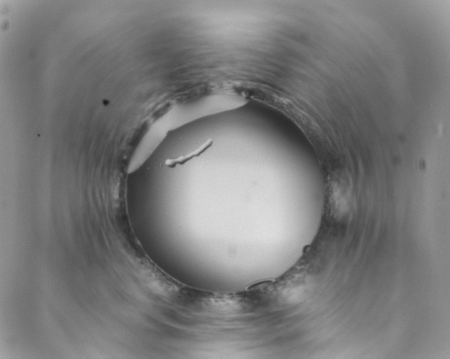 X0000089430668200706291315