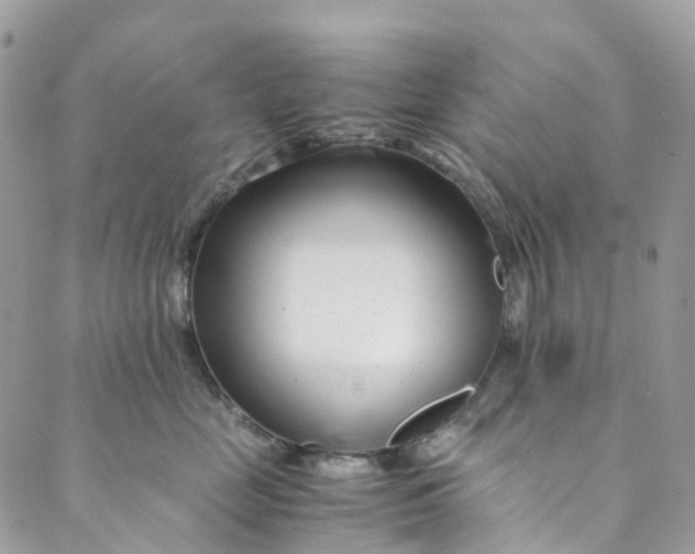 X0000089430669200706291315