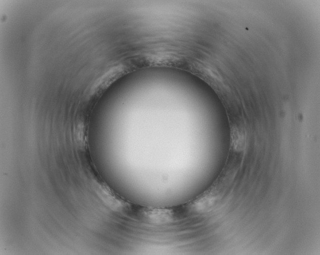 X0000089430670200706291315